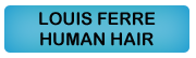 Human Hair wigs by Louis Ferre