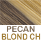 Light Brown w/CHUNKY blond HL's                             