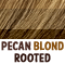 BLOND HL's on light BROWN base w/dark brown roots           