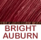 Bright Auburn with a sense of funky burgundy!               