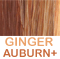 Medium Auburns blend w/Cinnamon body & Ginger Blond         