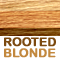 Golden Blond Blend Rooted w/medium Brown                    