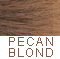 Light Pecan Brown frosted w/Gold Blond                      